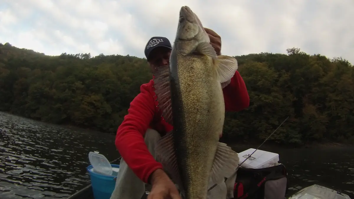 Guide de pêche Laurent Matéo - Vallée de la Dordogne -15