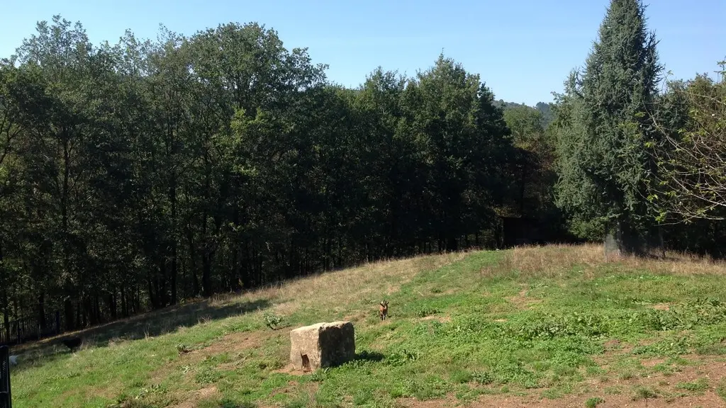 Vue depuis la terrasse