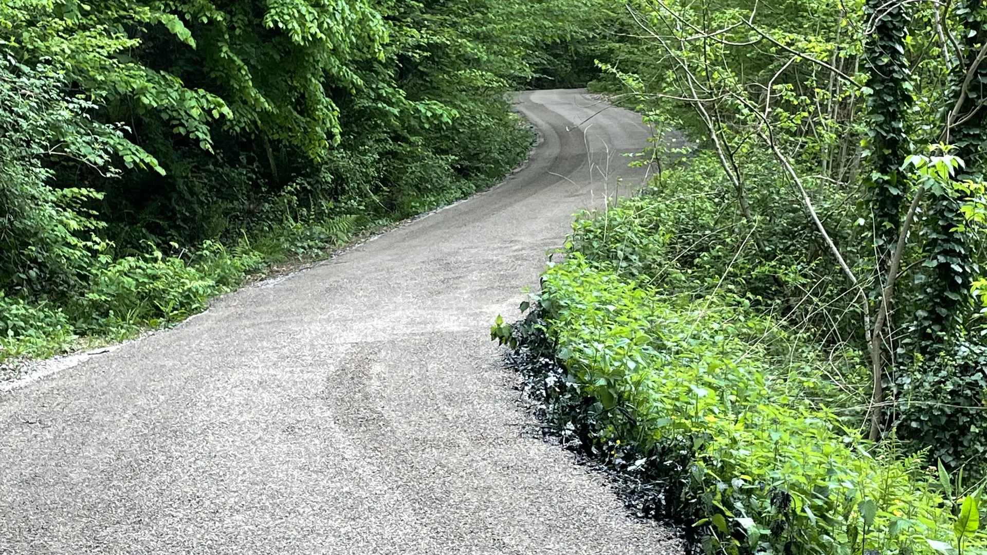 chemin privé menant à la maison