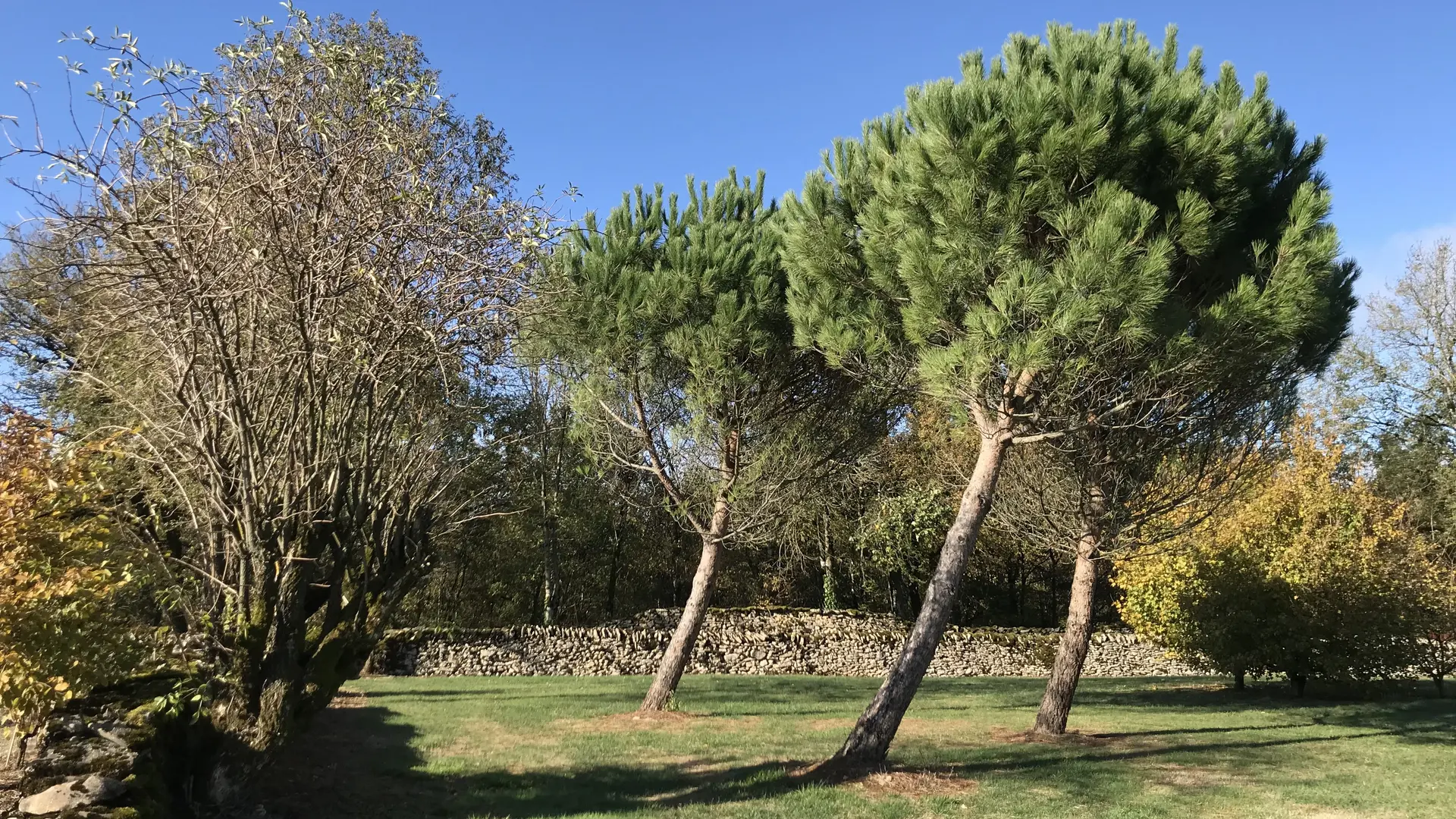 Une vue du jardin du Causse Nud