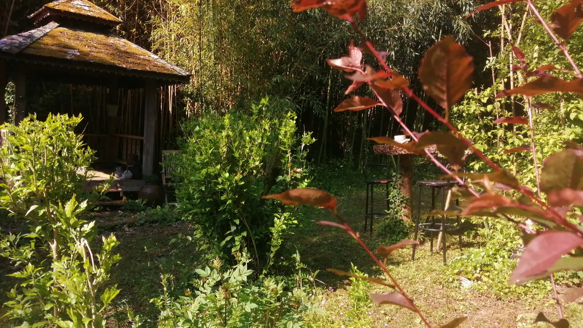 Chambre d'hôtes Saint Denis les Martel-Le fond du jardin