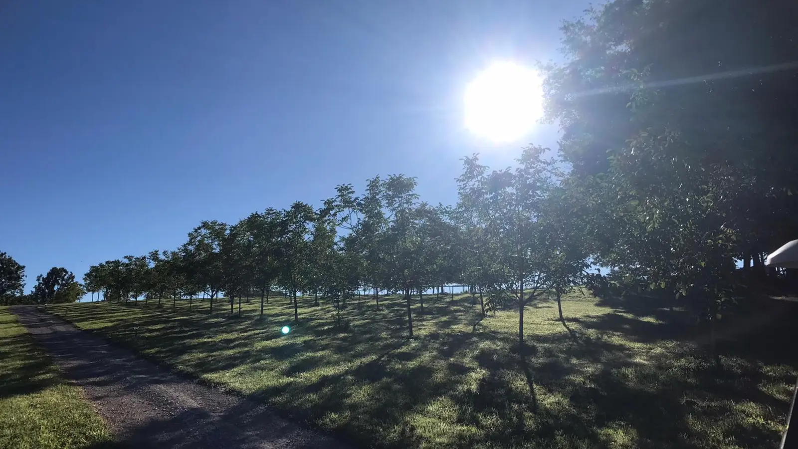 Un parc de plus de 7 hectares