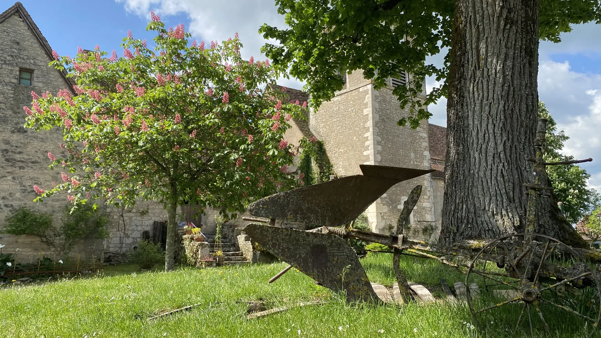 Le tilleul devant l'entrée du Gîte d'étape les 7 pèlerins