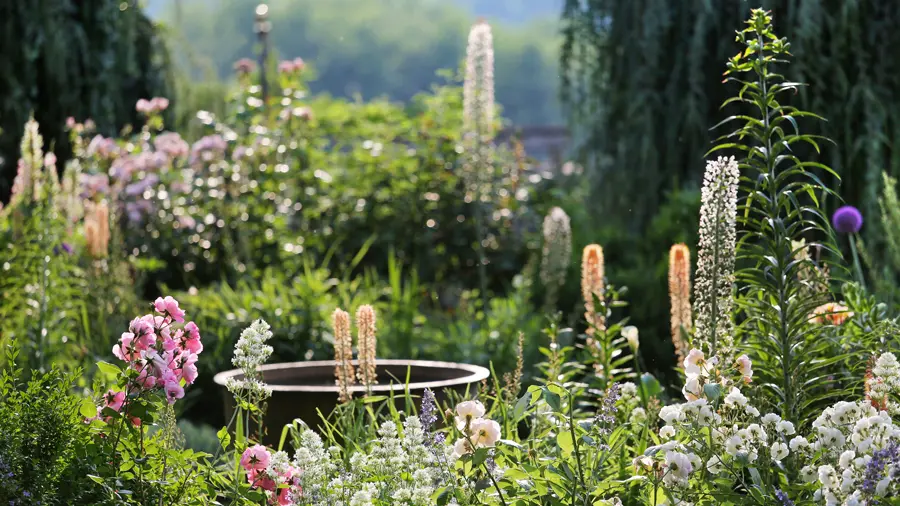 Jardin fleuriste