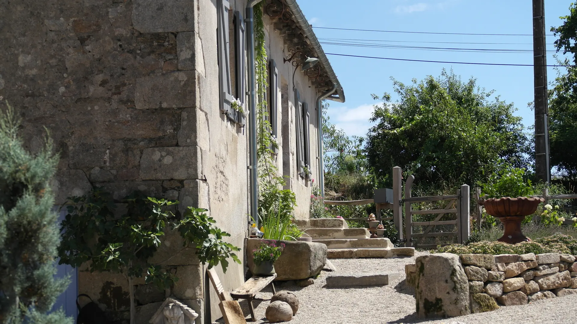 L'entrée