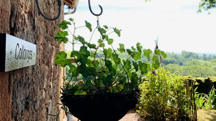 L'acces aux chambres depuis le jardin