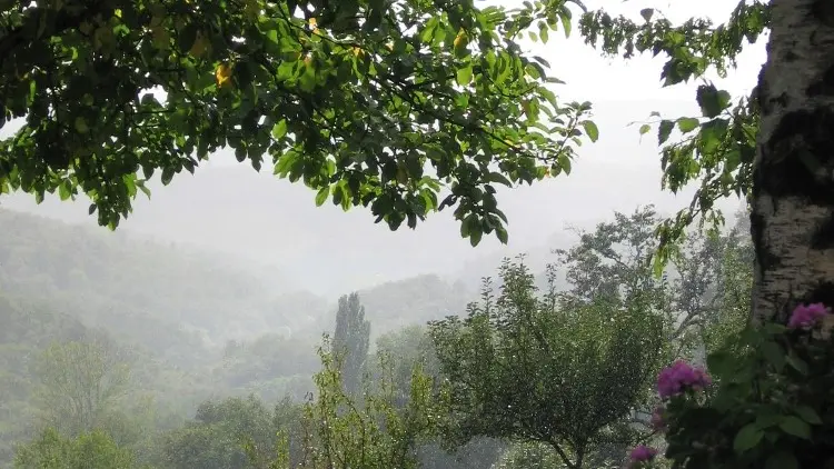 La vallée après la pluie