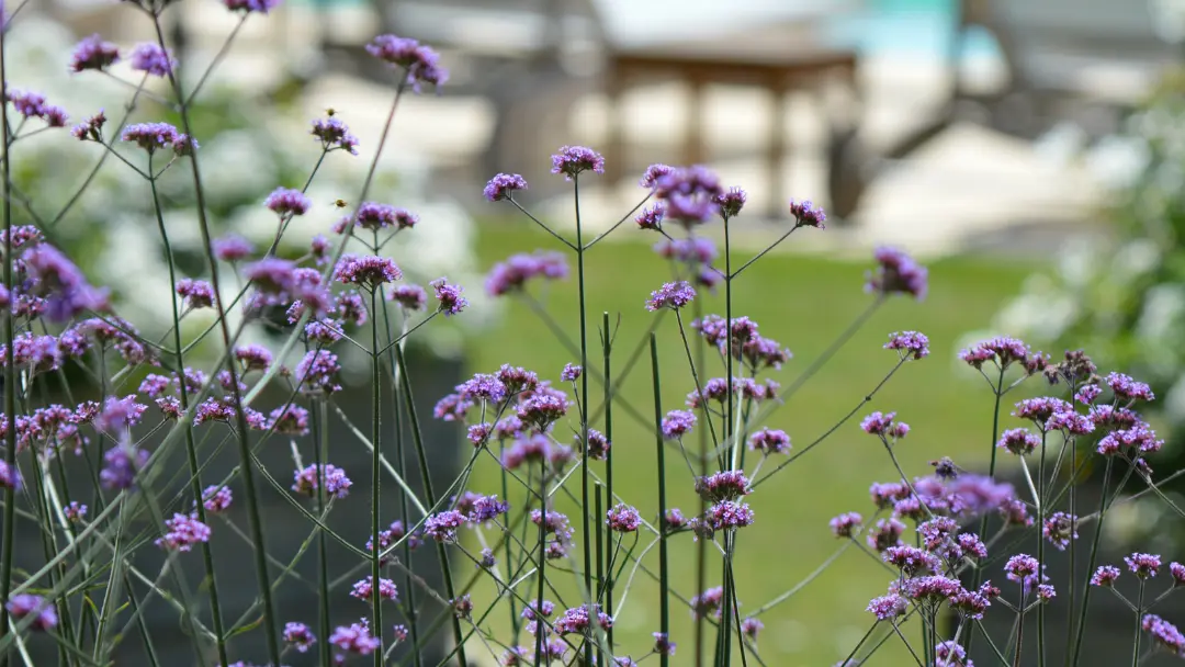 Jardin du Manoir de Malagorse