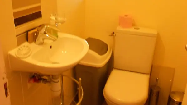 MeubléSurleau_WC