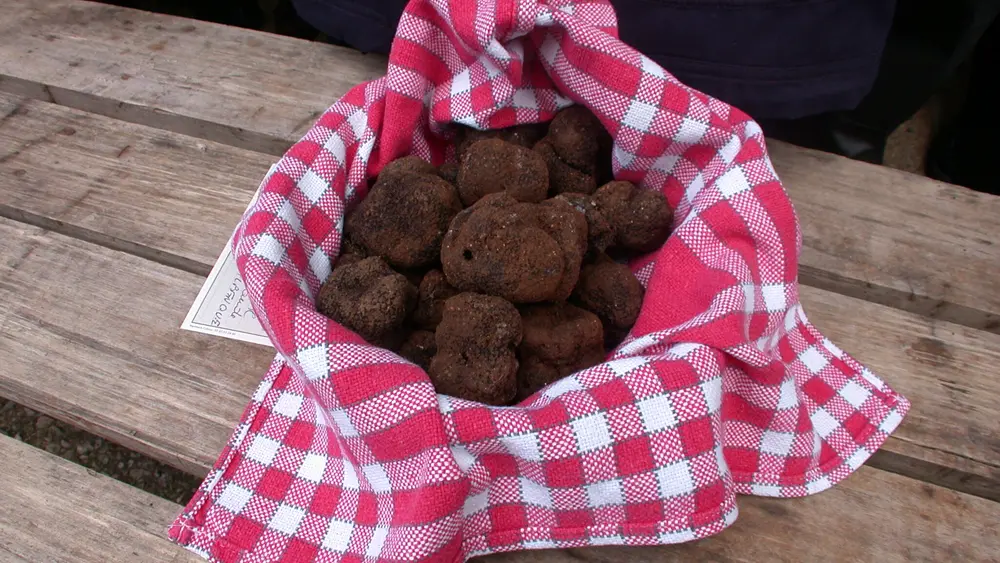 Panier de truffes - credit photo Lot Tourisme, Jean Maureille