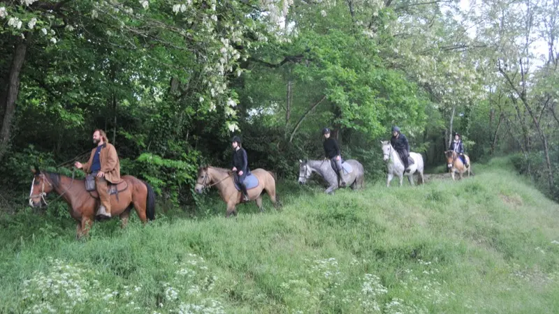 Centre Equestre Cheval Rando Equitation