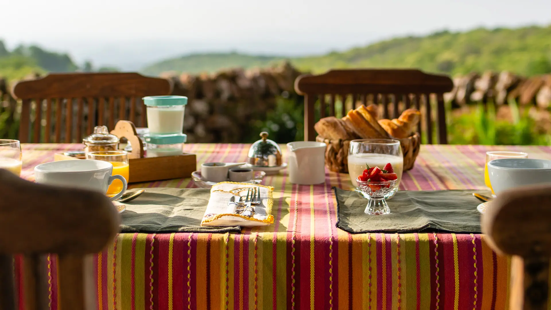 Petit-déjeuner à l'ombre du grand chêne