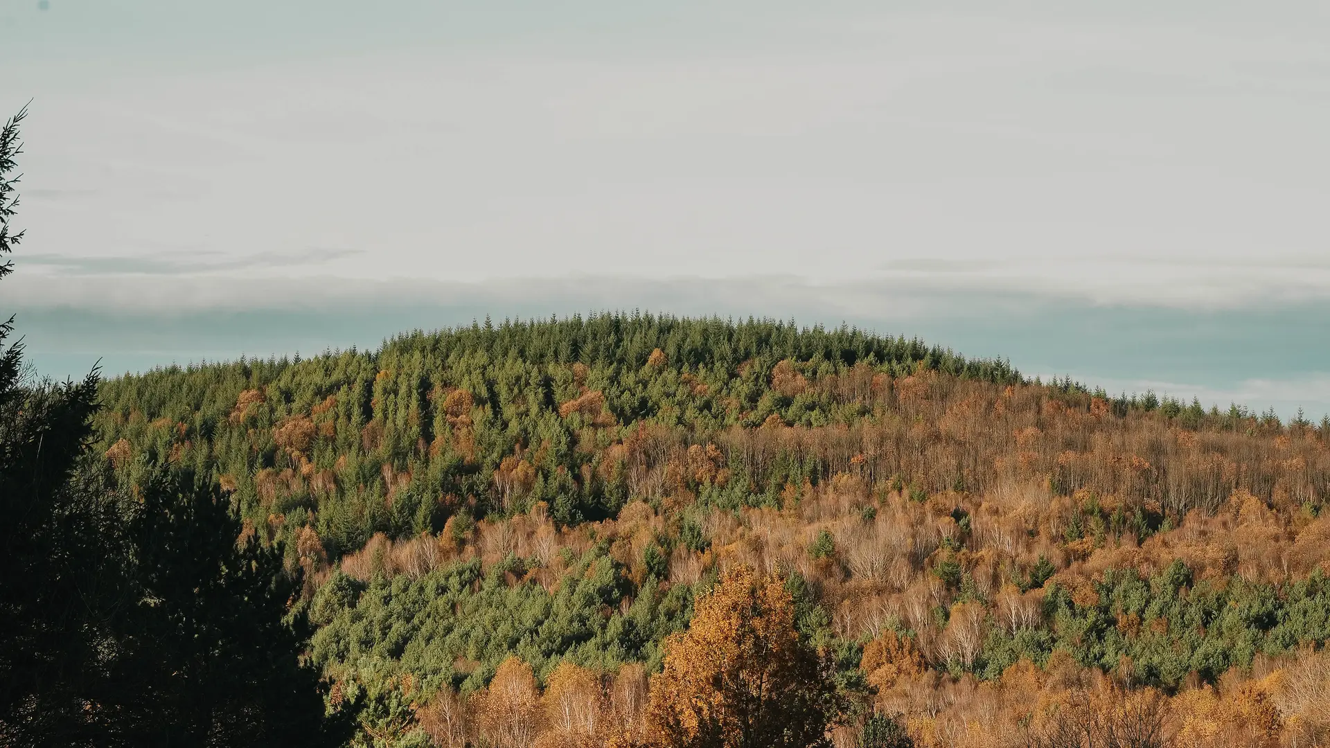 Vue panoramique- Jeanne