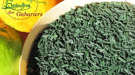 Spiruline en paillettes