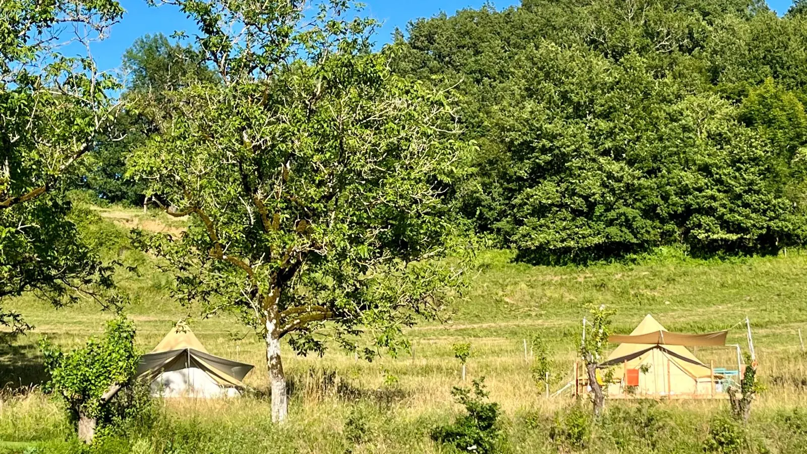 Vue sur Noix et Châtaigne