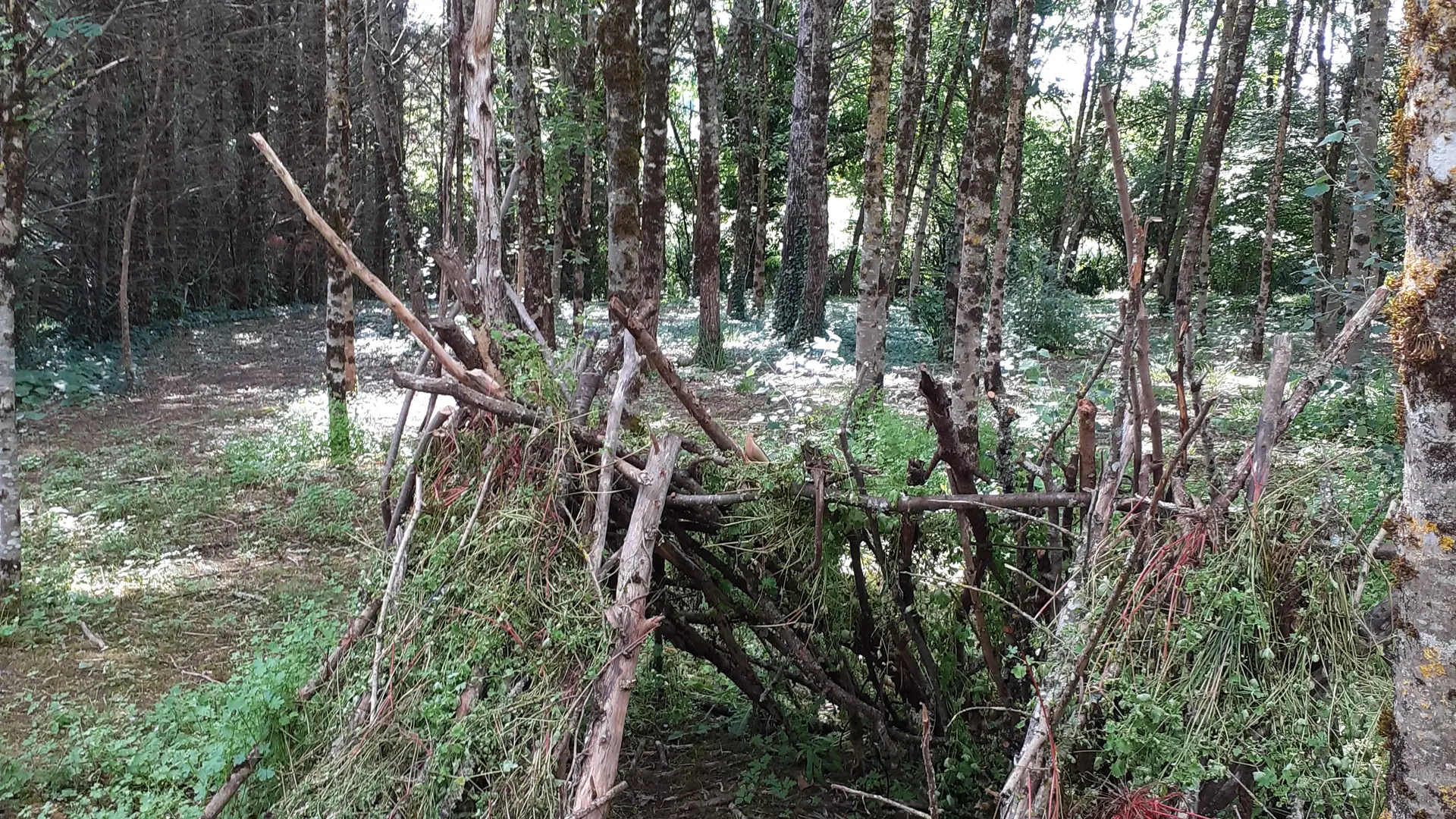 cabane petit bois réalisée par les enfants et leurs parents durant leur séjour.