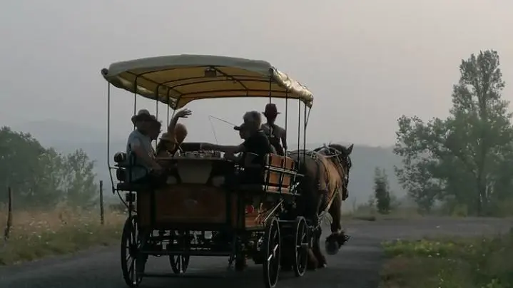 Calèche dans la brume