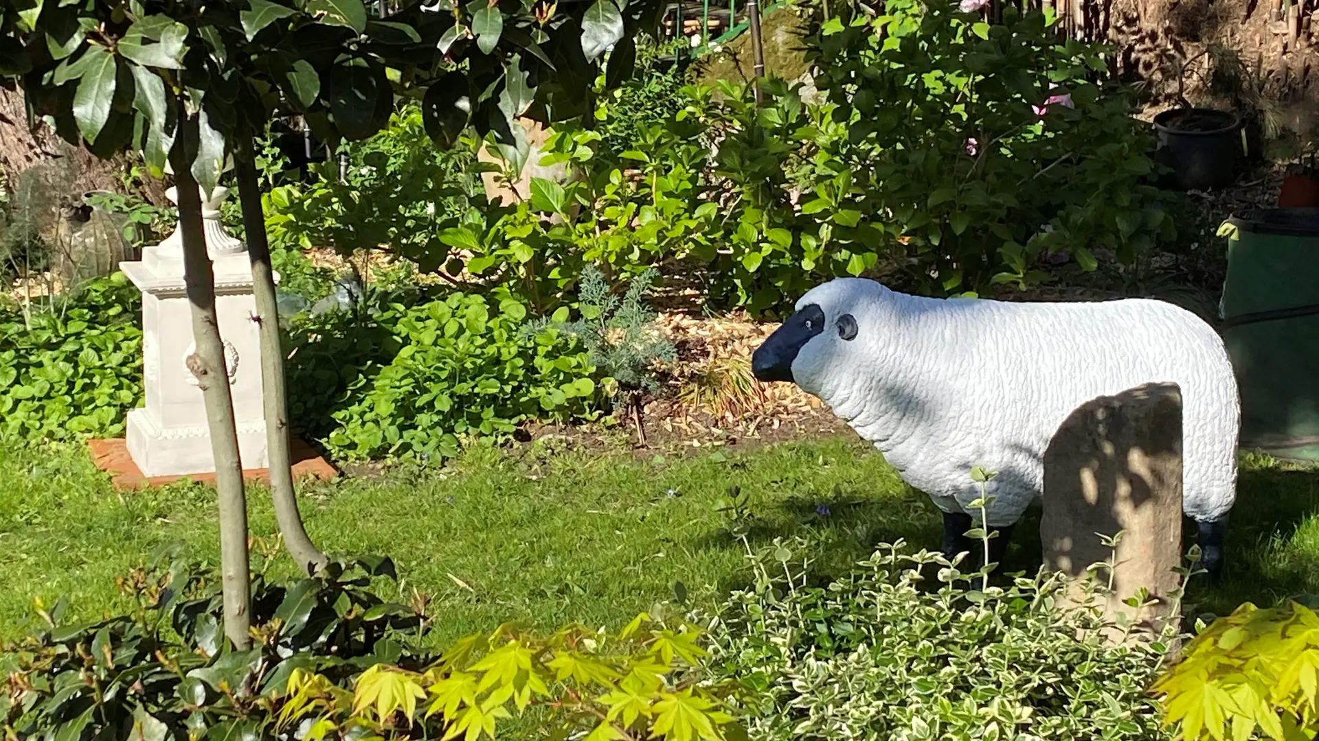 détail du jardin