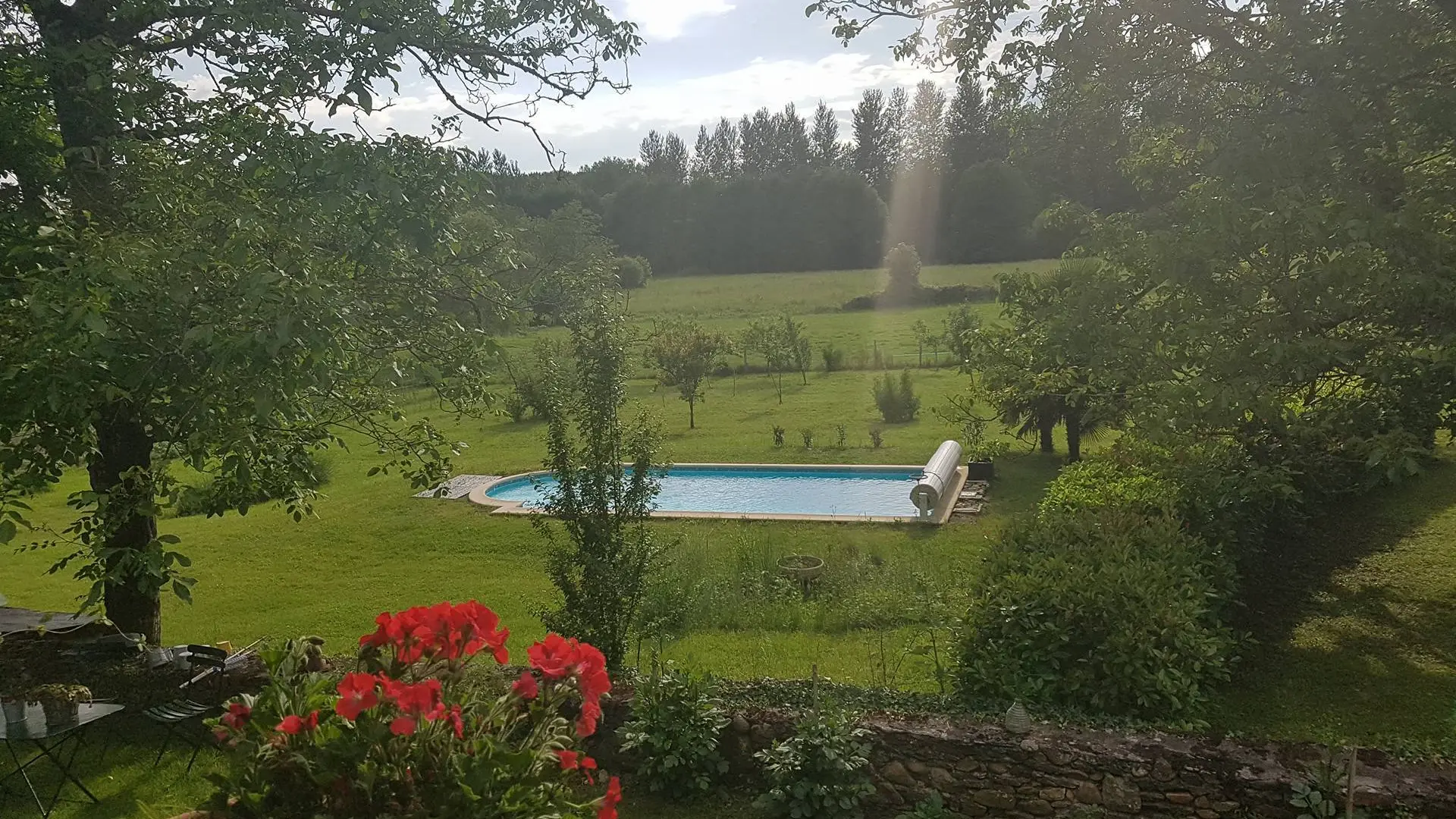 le jardin et la piscine