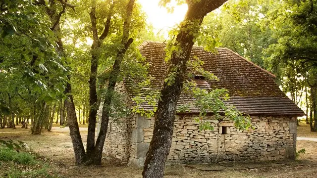 le-bois-de-faral-┬MalikaTurin-23996web