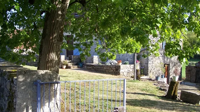 Jardin privée avec tilleul centenaire