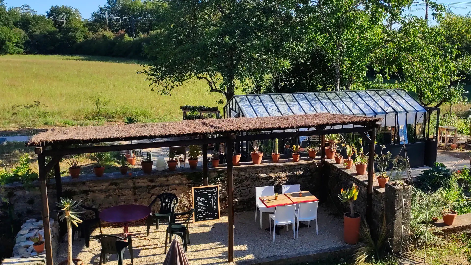 Pergola, et serre à cactus