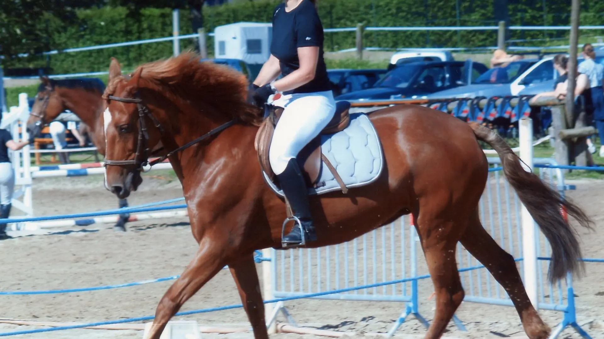 Centre équestre Saint Céré Equitation - St Jean Lagineste