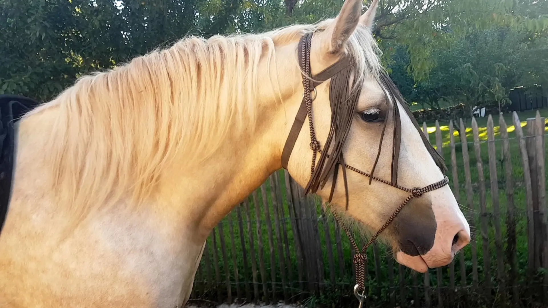 Centre équestre Saint Céré Equitation - St Jean Lagineste