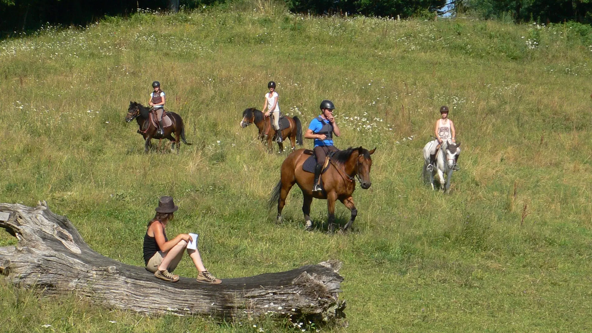 Centre équestre Saint Céré Equitation - St Jean Lagineste