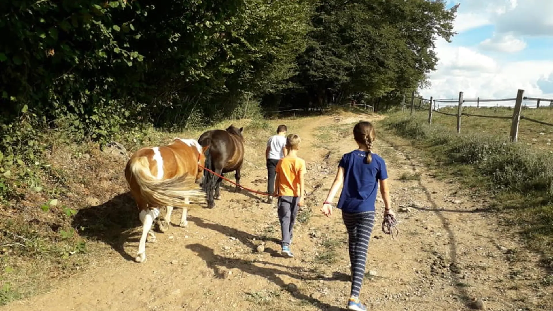 Centre équestre Saint Céré Equitation - St Jean Lagineste