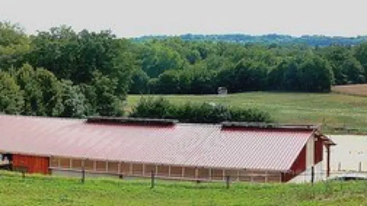 Centre équestre Saint Céré Equitation - St Jean Lagineste