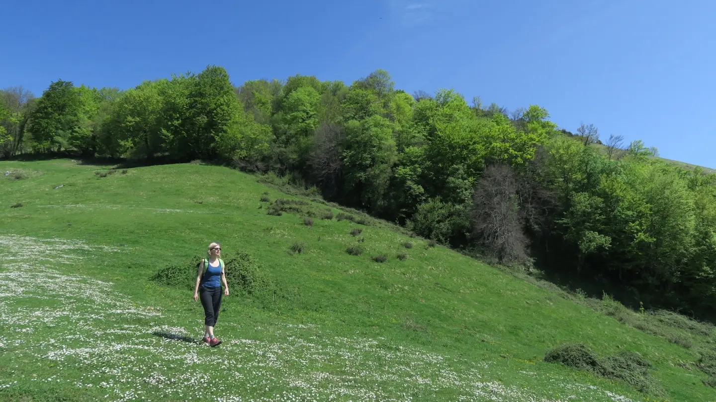 Chemin de Bosdapous
