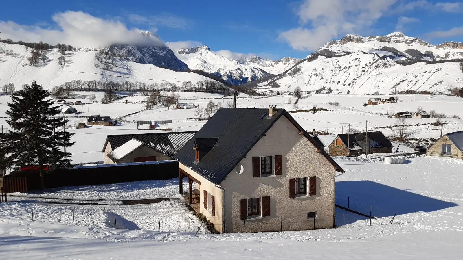 Les Genêts sous la neige