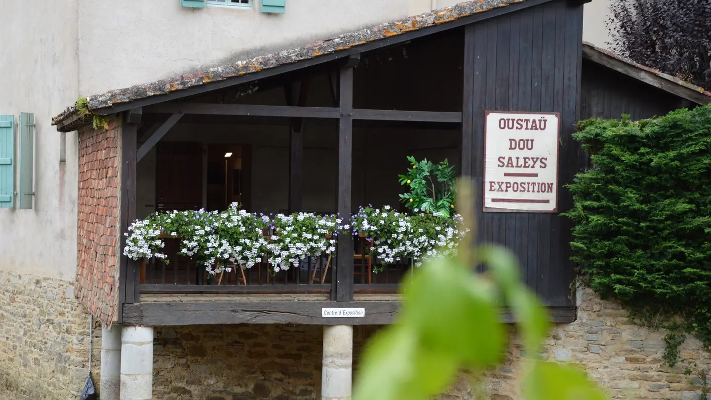 Oustau dou Saleys