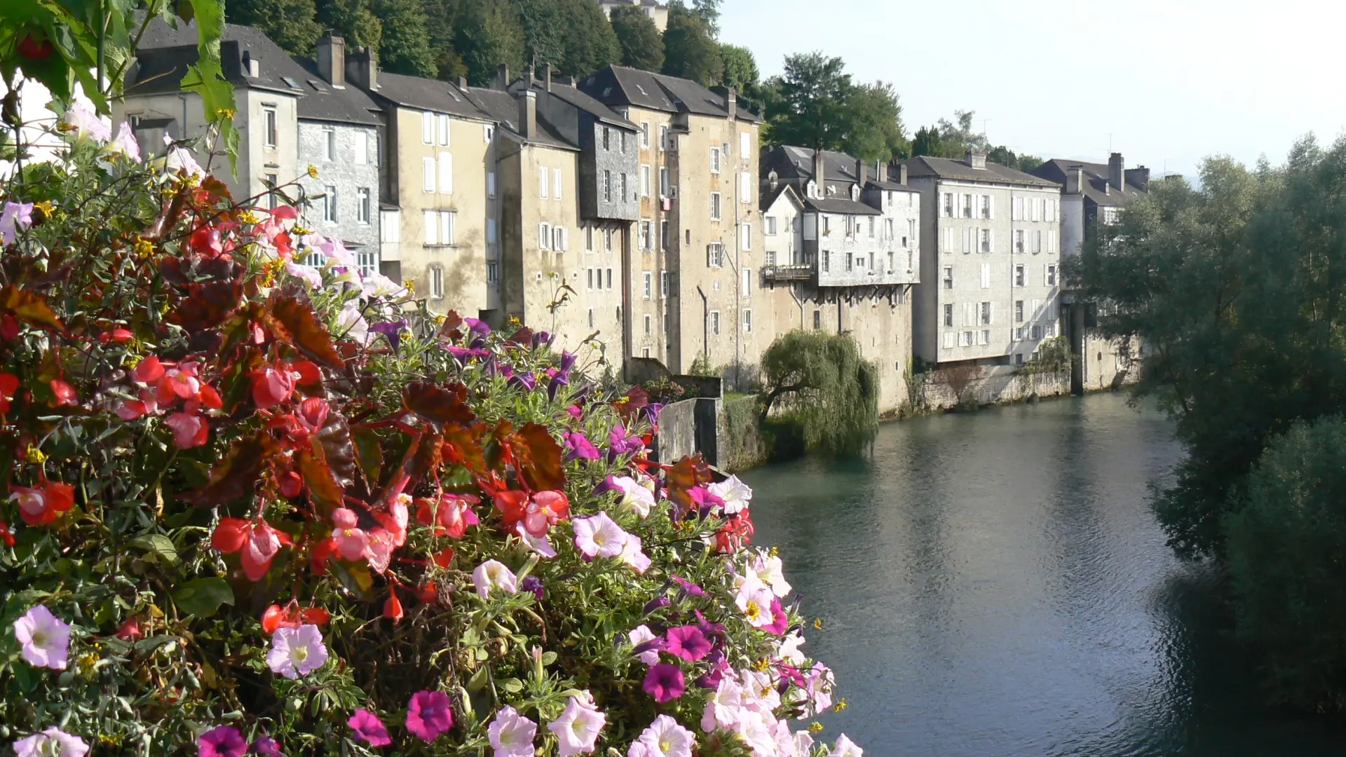 Oloron Sainte-marie - Façades gave d'Aspe IV (Office de Tourisme du Piemont Oloronais)