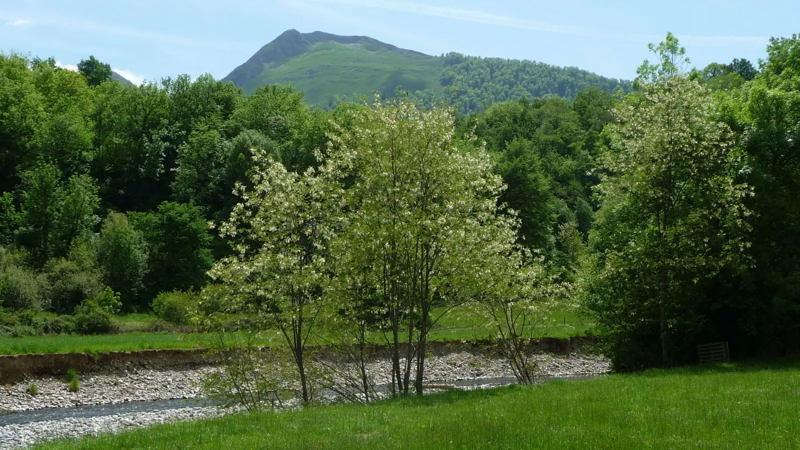 Au bord du ruisseau