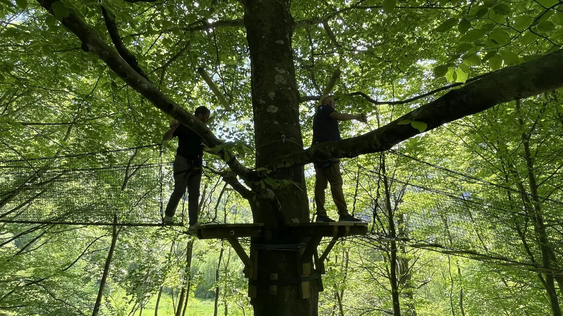 ACCOUS AVENTURE - Cimes