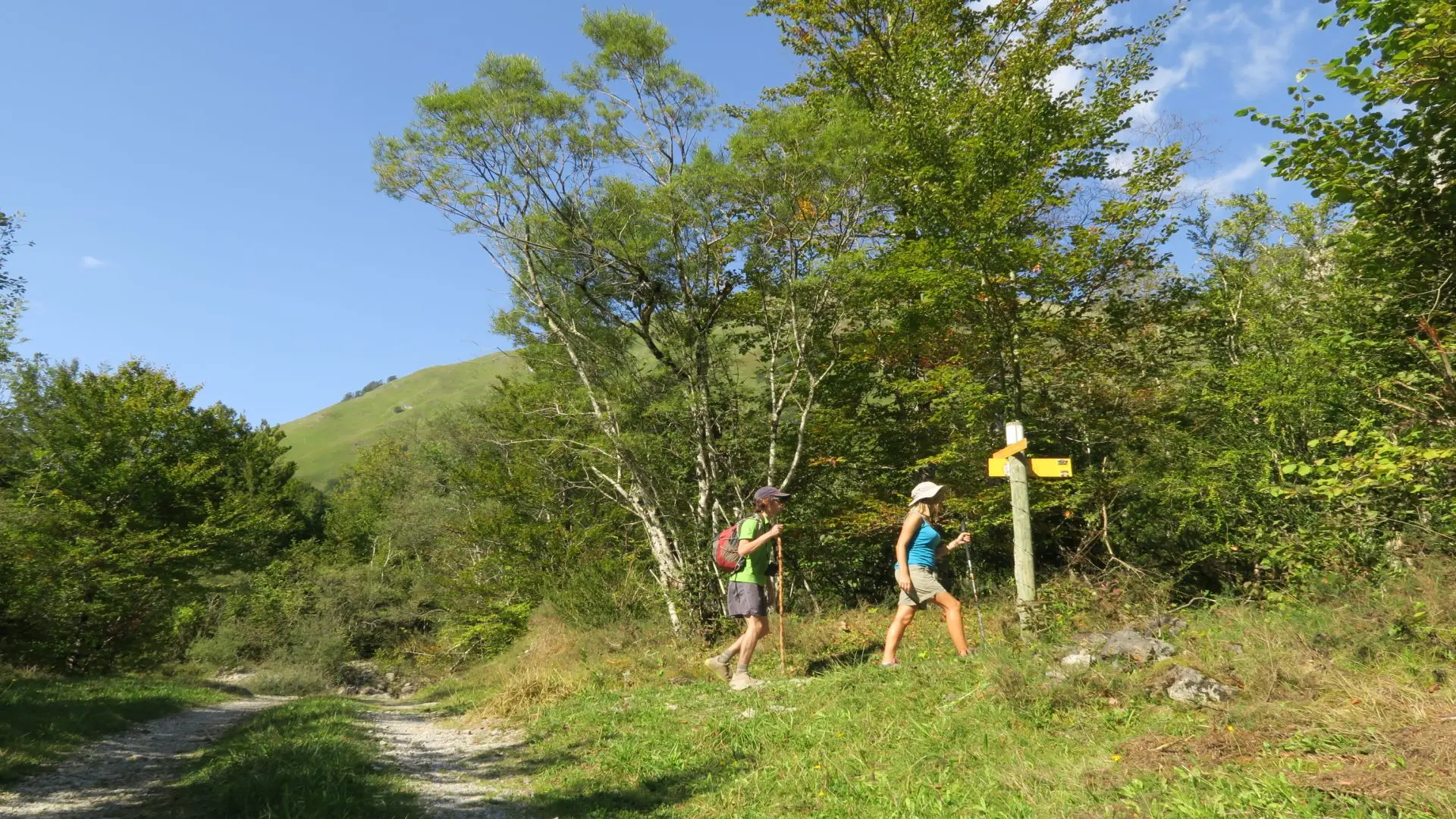 N° 32 CABANE LAITERINE PAR LE COL D'ISEYE