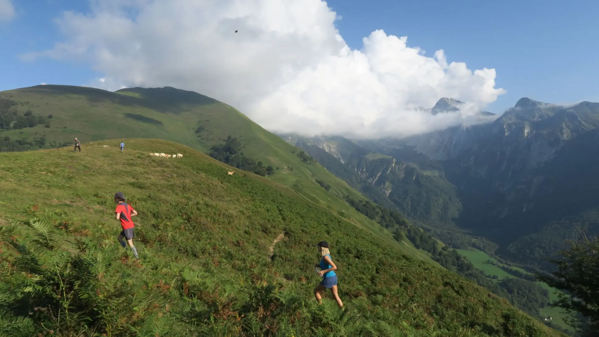 ASPE - Trail de Bergout 2