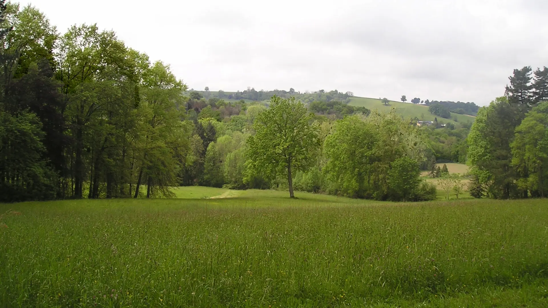 Arboretum de Payssas - Parc (Bourdet Joseph)