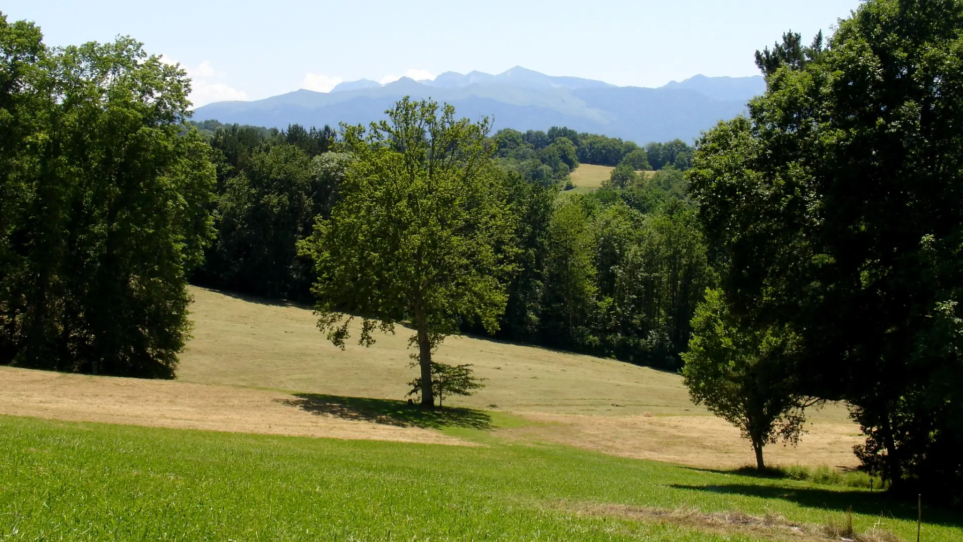 Arboretum de Payssas - Vue 2 (Bourdet Joseph)