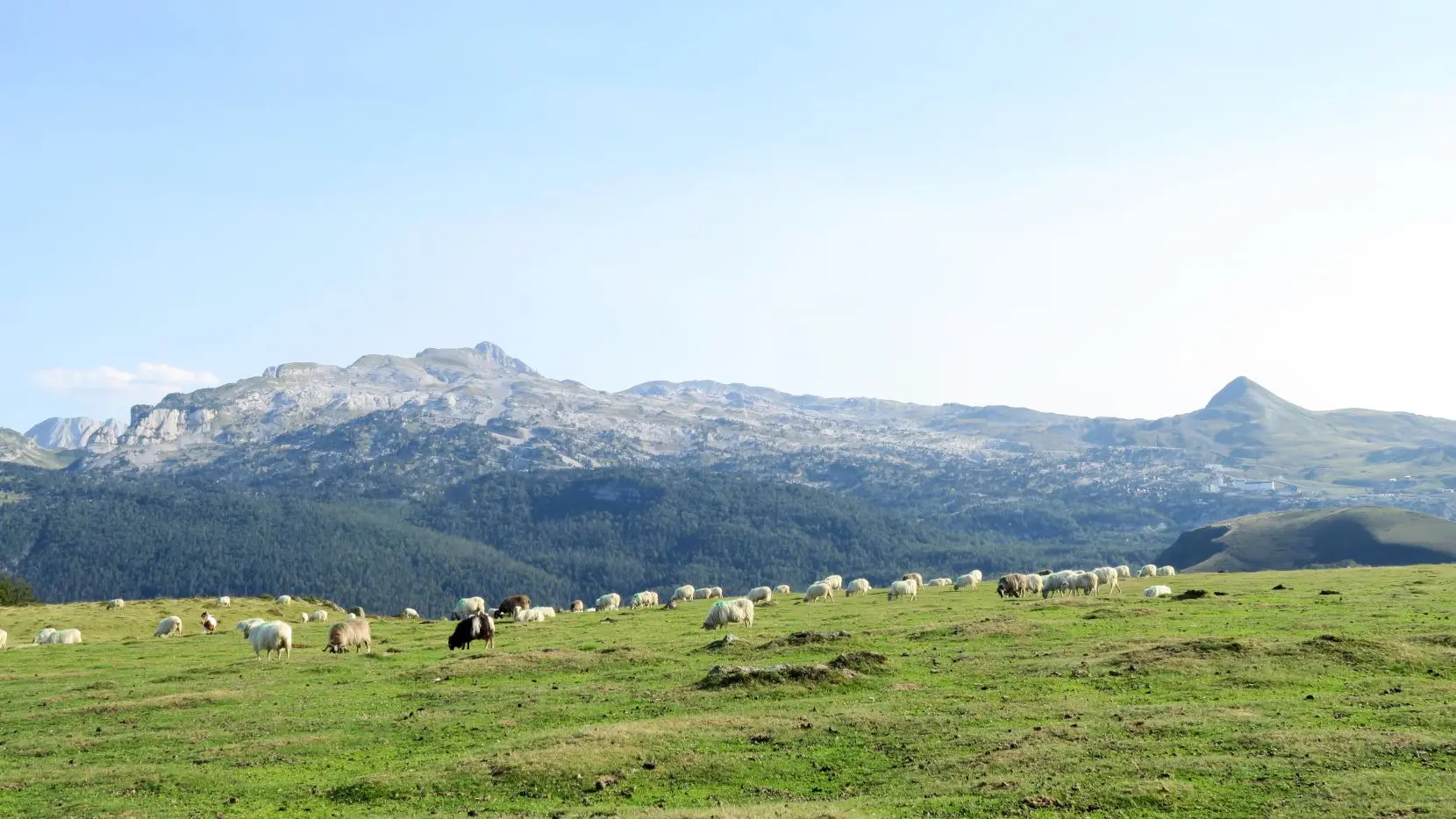 Randonnée pédestre au Pic Soulaing en vallée de Barétous