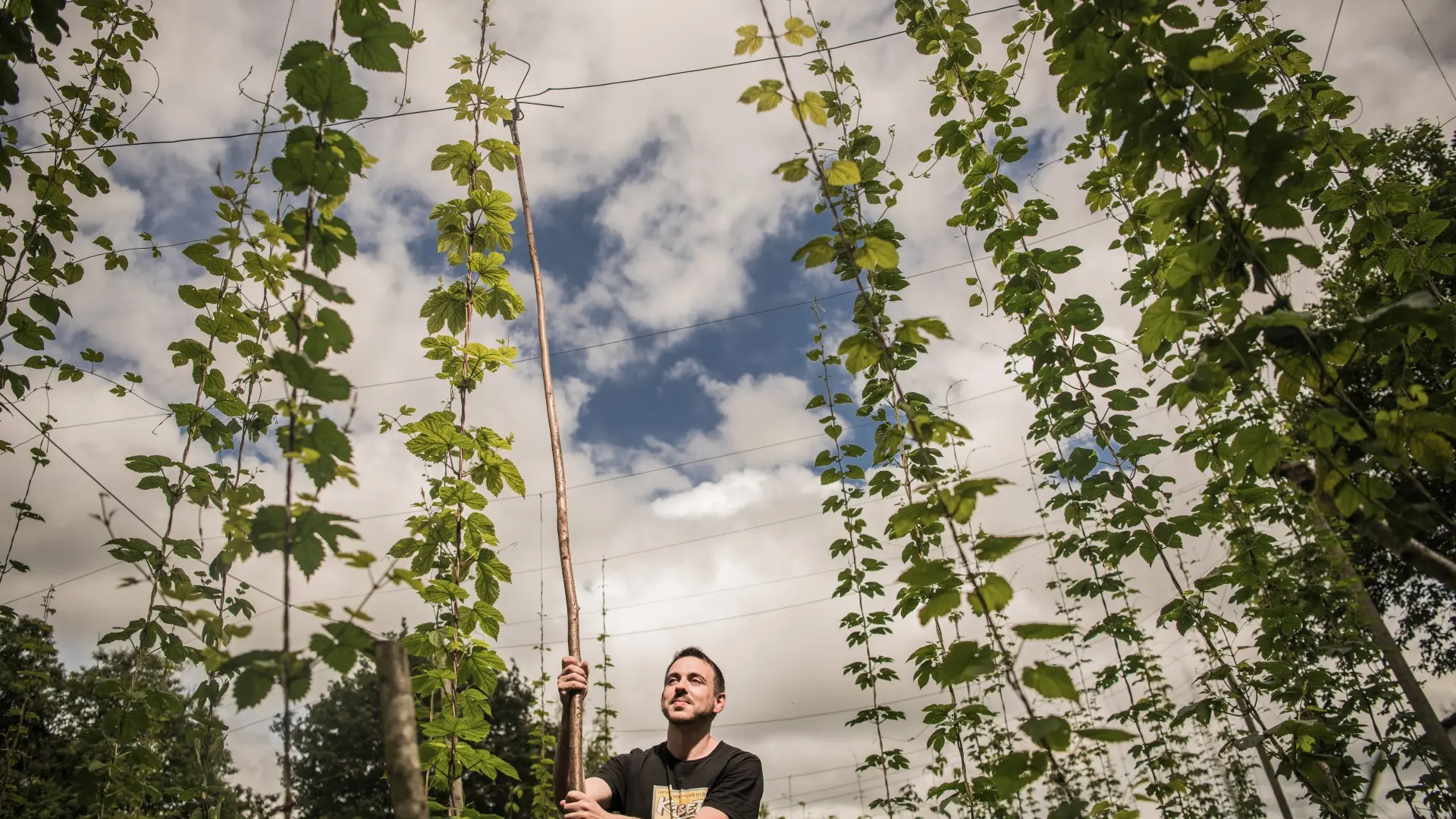 Jean-Christophe Bert - Brasserie de l'Arrec à Estialescq