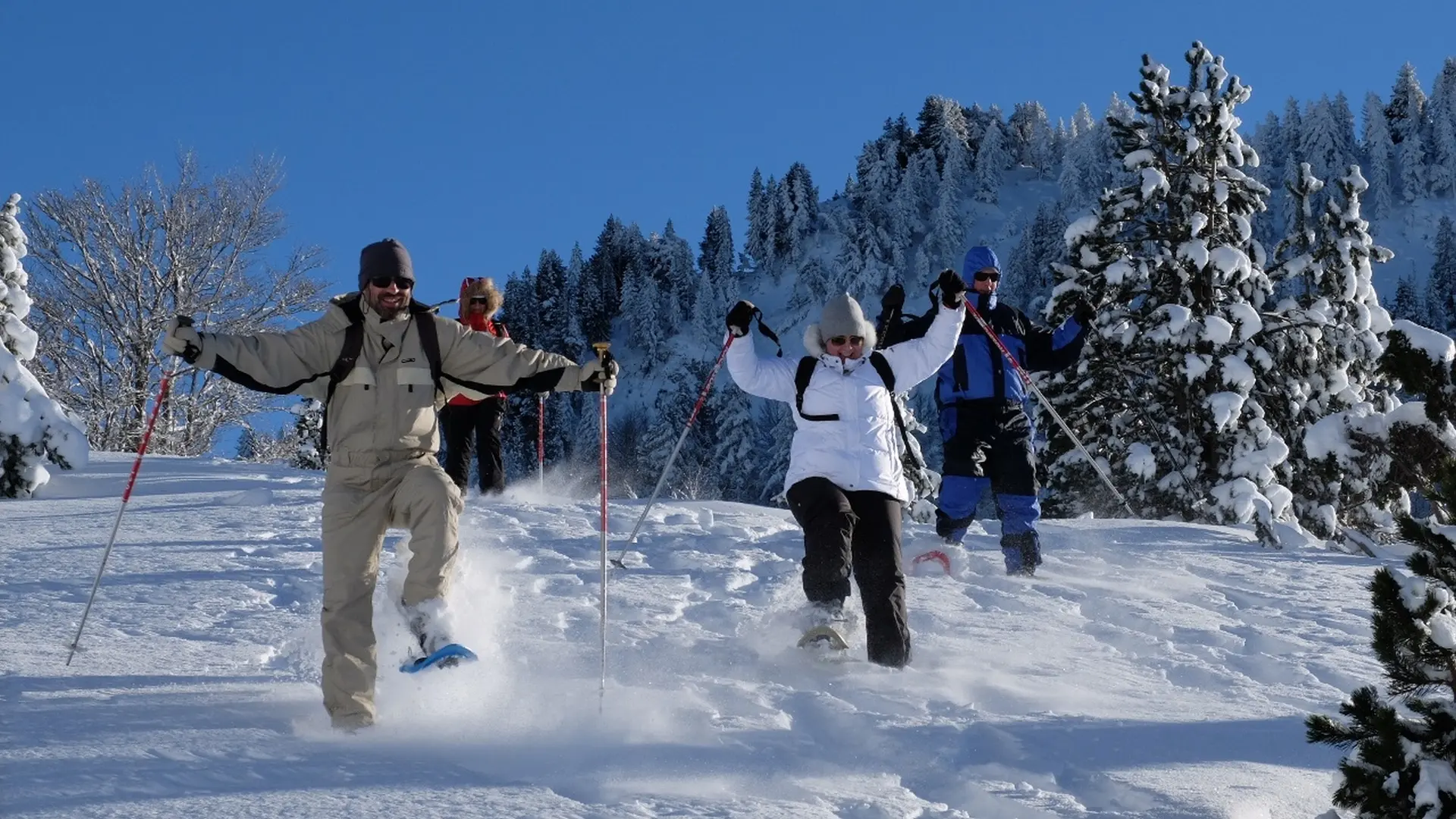 Balade-Raquette-Pierre-Saint-Martin