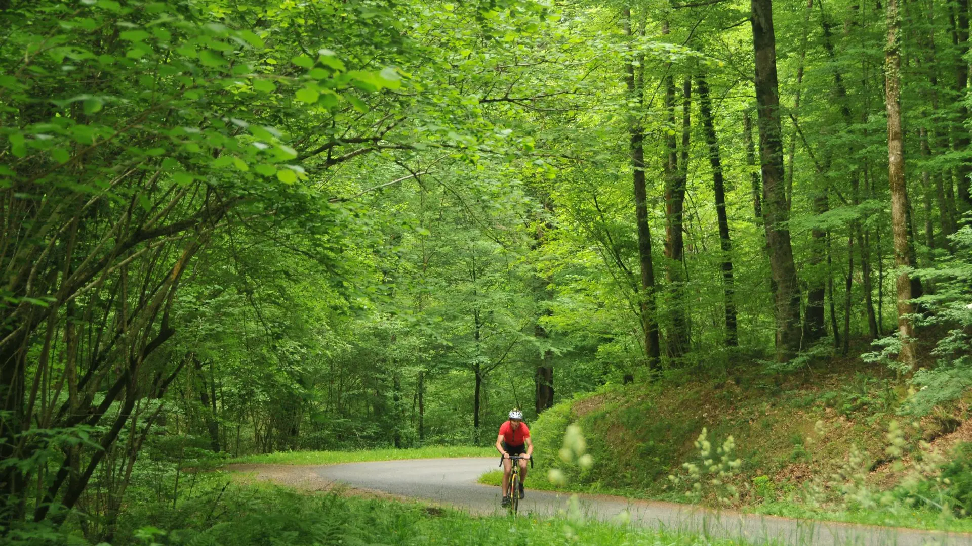 Bois du Bager Sud