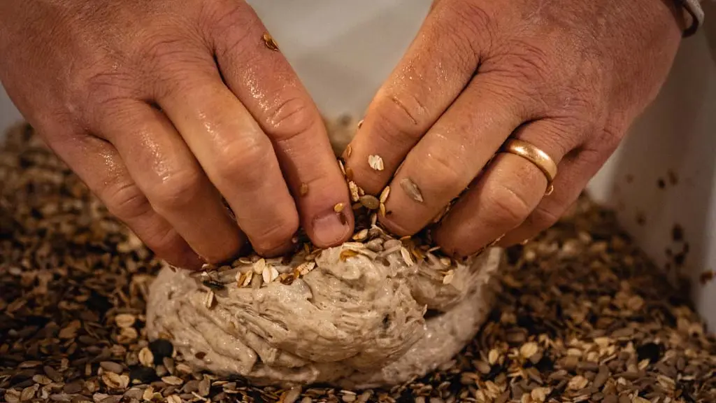 CASTETS_Le Pain d'Ici