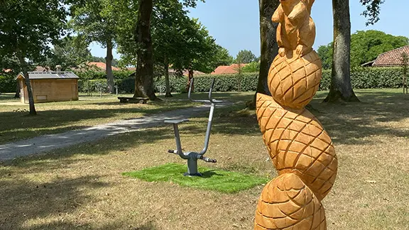 CLNT-LINXE-Parc Dufau (15)