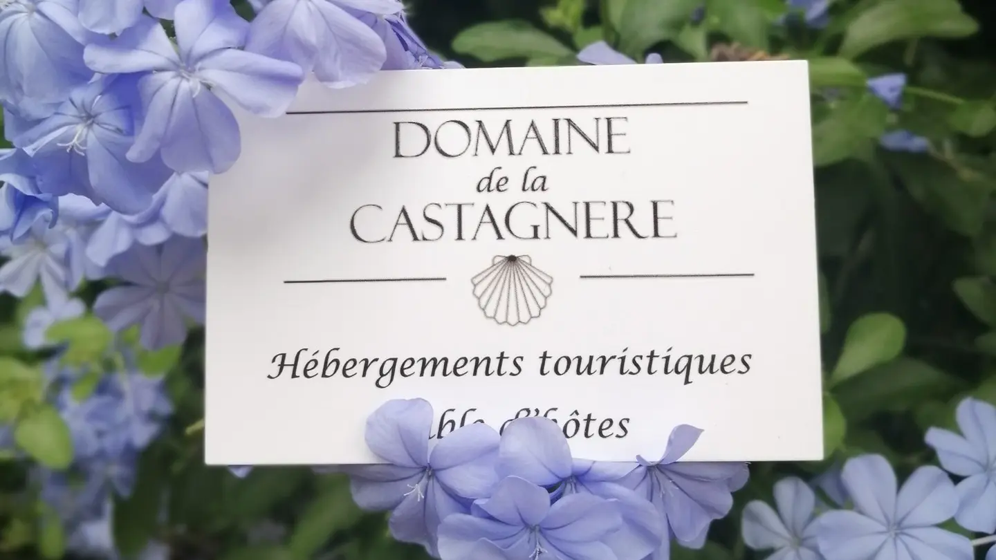 Carte de visite fleurs (1)