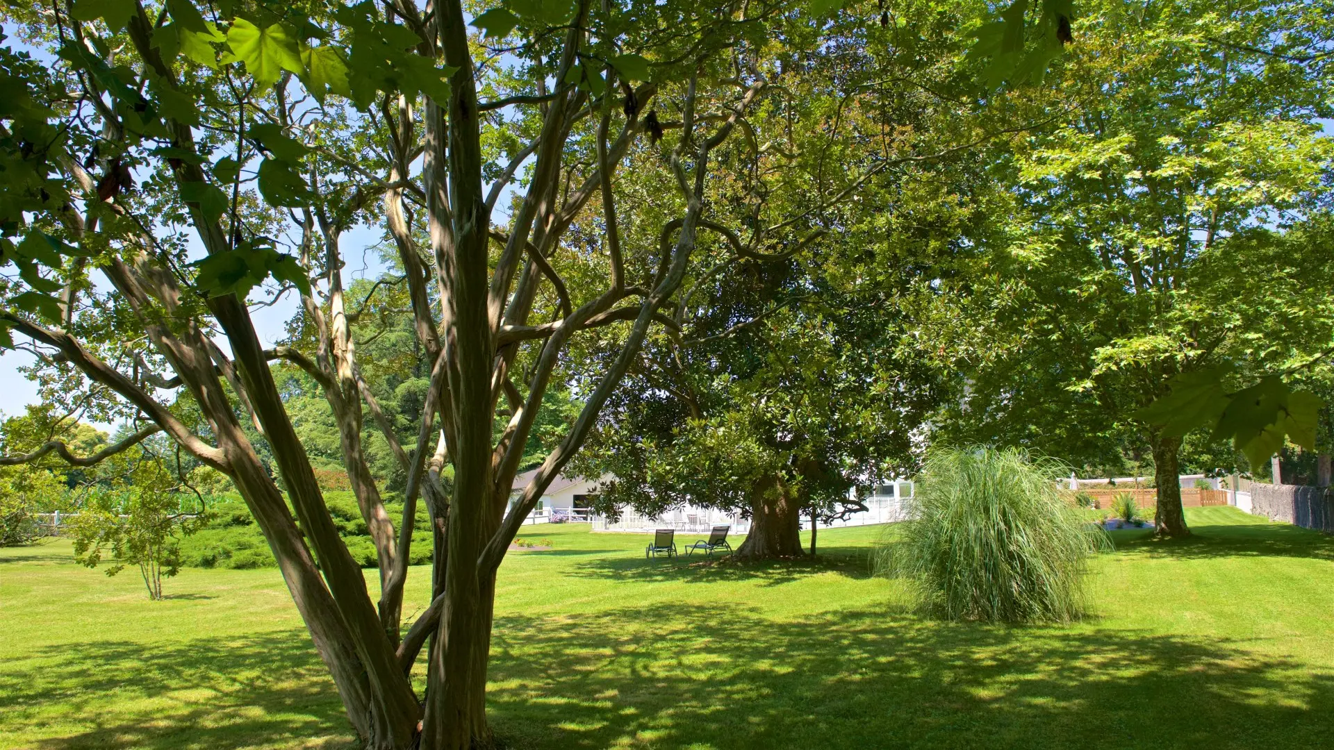 Chambre d'Hôtes Domaine Pédelaborde - Parc (Odile Civit)