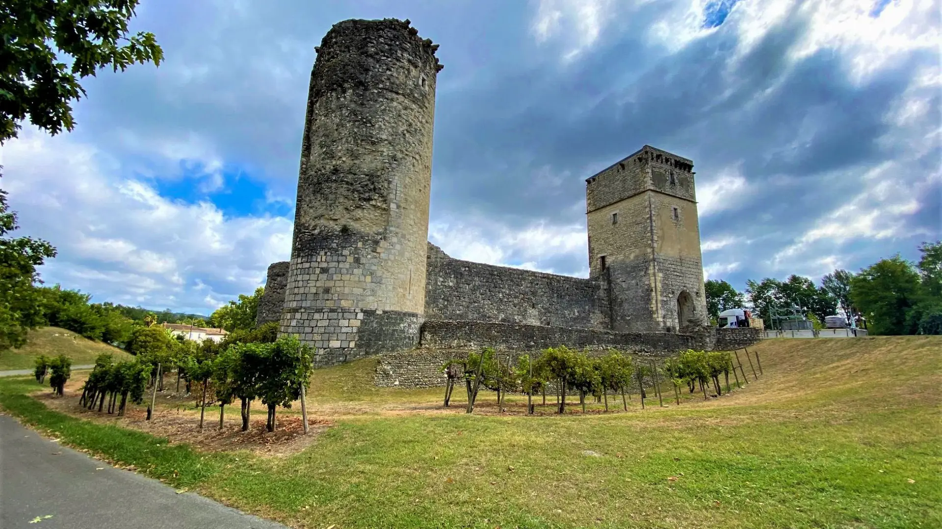Cheteau-bellocq-bearn-vignes